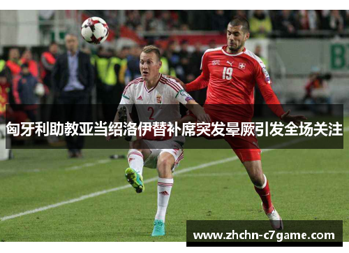 匈牙利助教亚当绍洛伊替补席突发晕厥引发全场关注 匈牙利助教亚当绍洛伊替补席突发晕厥引发全场关注